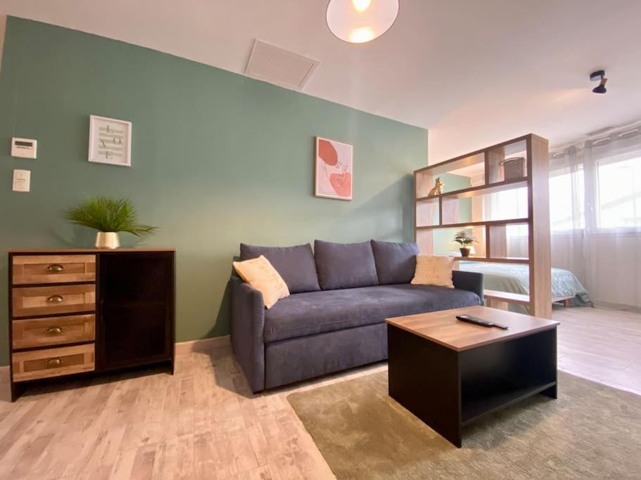 L'Appartement Jebari - Esprit Loft 卡尔卡松 外观 照片